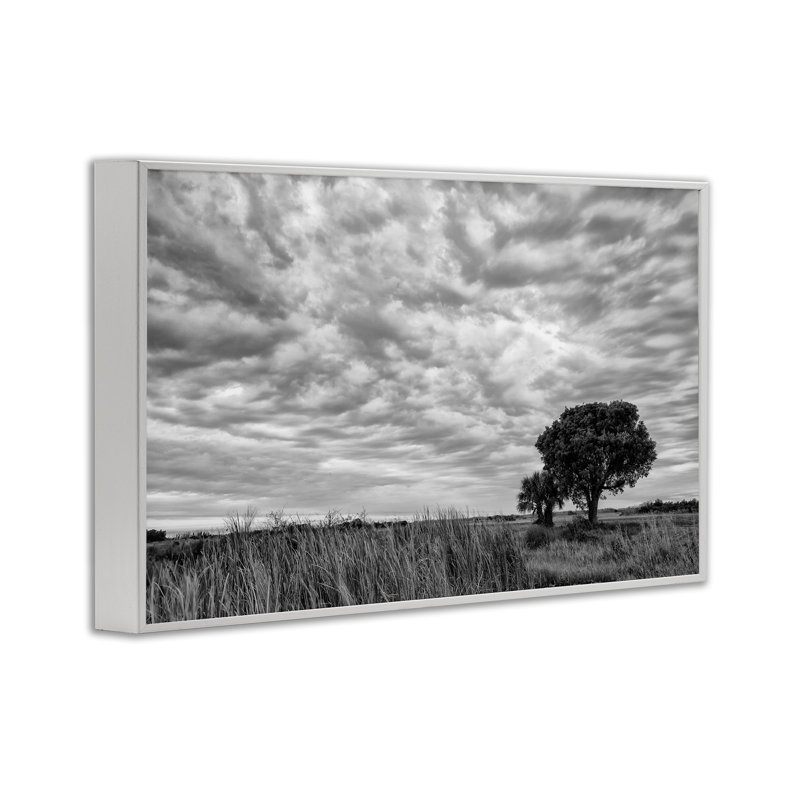 «The Right Tree Cloudscape», estampe numérique, conception de Jon Evan, H 12 po x l 18 po
