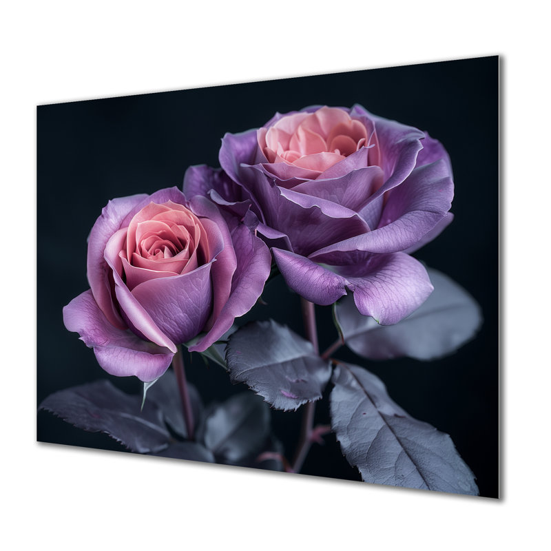 Monochromes noirs et mauves roses - impression d'art mural Roses, H 12 po x l 20 po, Métal métal