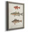 " Species Of Antique Fish II "-834072929