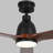 Ceiling Fan with LED Lights-87377911