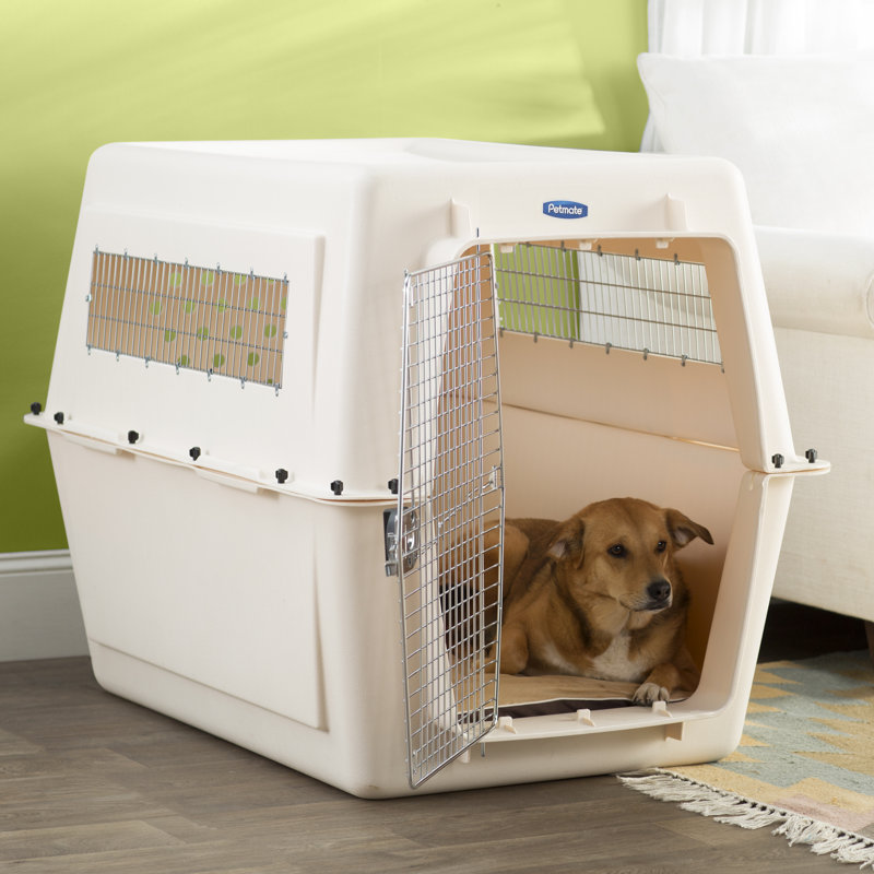 Cage pour animal de compagnie Chyene