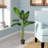 78'' Faux Banana Leaf Tree in Pot