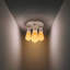 Nantan Spotlight-1513435238-1513435239