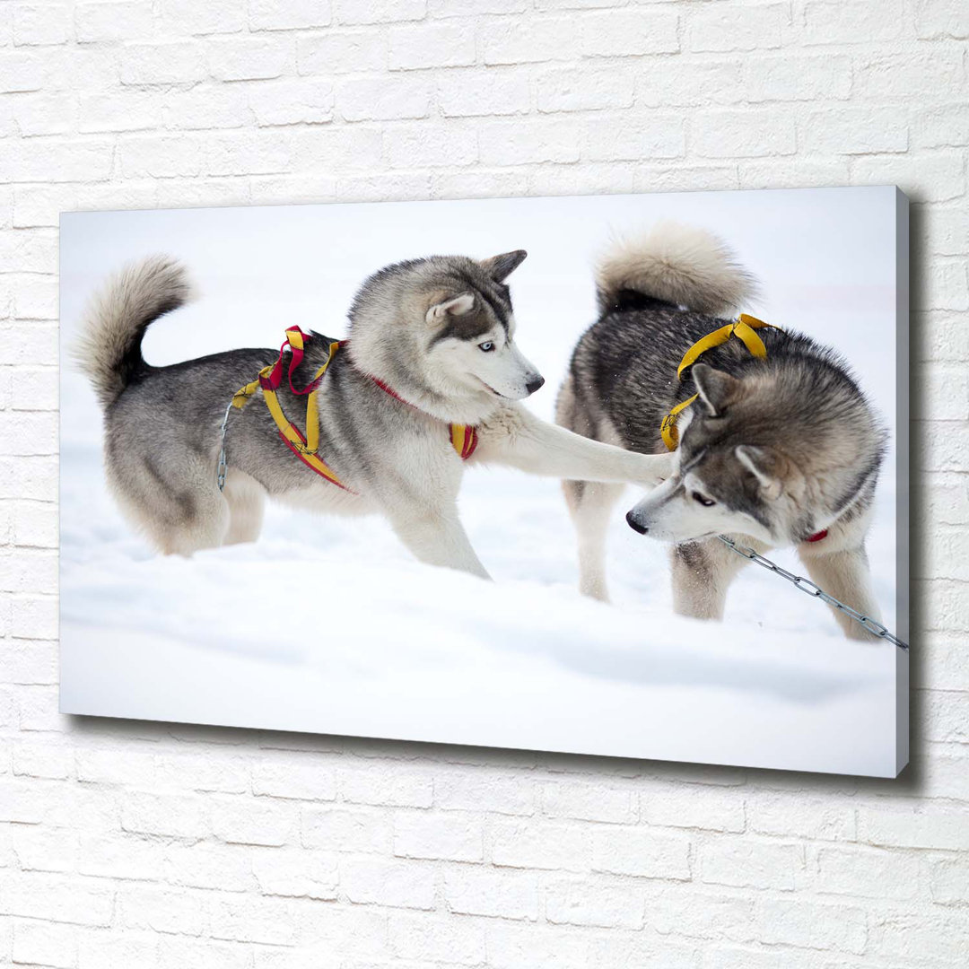 Husky im Winter - Ungerahmte Kunstdrucke auf Leinwand