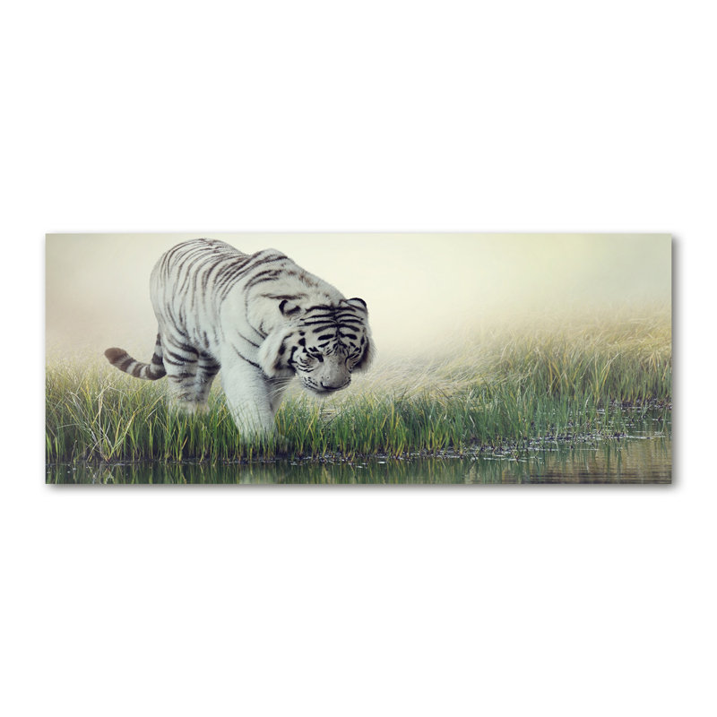 White Tiger - No Frame Print on Canvas