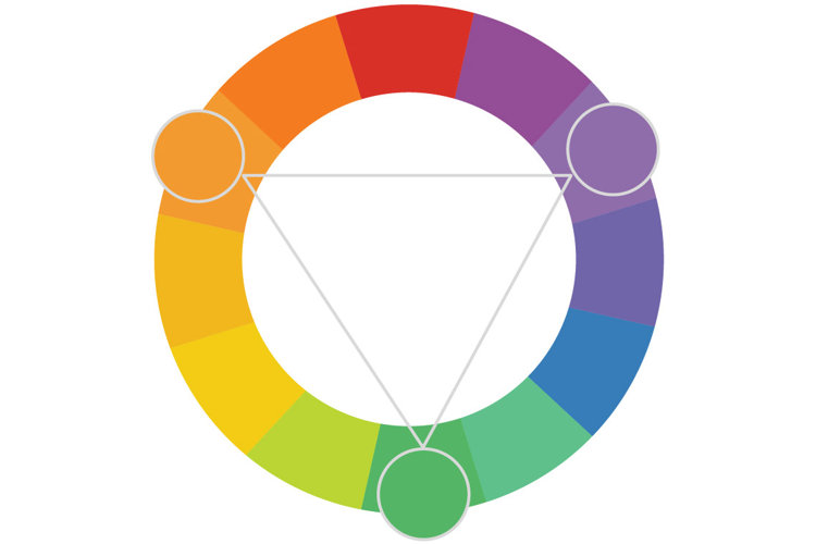 colour wheel highlighting secondary colours: green, orange and violet