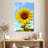 Harnek Sunflower Blooming-108256704