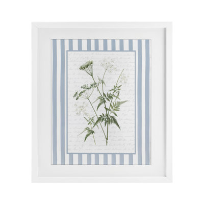 «Vintage Herbs Blue Stripes», reproduction encadrée sous verre encadrée