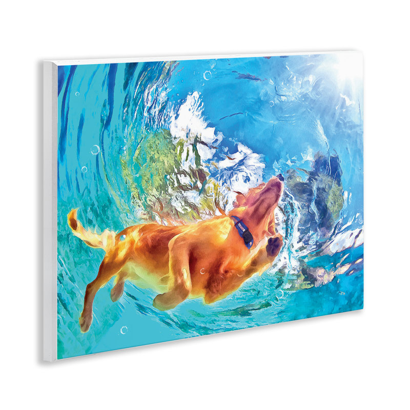 Art mural de chien nageant sous l'eau par Masey St. Studios