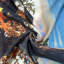 Paire de rideaux semi-transparents en polyester Faren