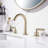 Widespread 2-handle Bathroom Faucet