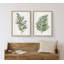 «Green Fern» par Patricia Shaw, reproduction d'art sur toile encadrée