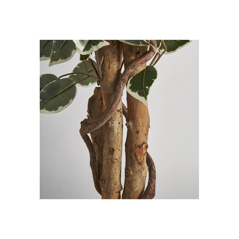 Ficus Faux Plant