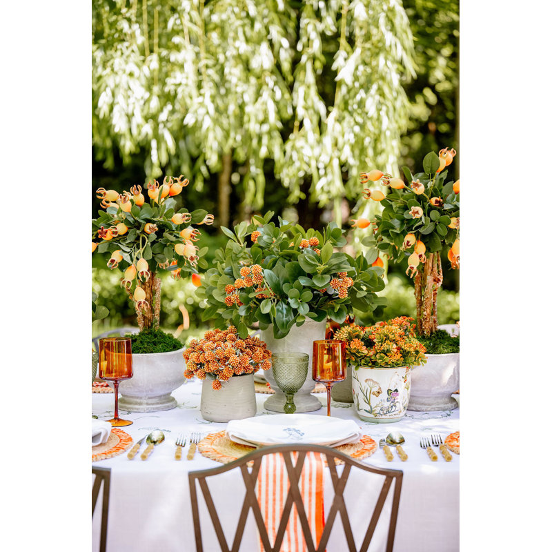 Orange Berries In Patt Pot