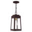 Lanterne suspendue d'extérieur 1 lumière H 14,5 po Antionetta-790517837