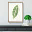 Tiger Plant Leaf by Benjamin Fawcett - Picture Frame Painting Print-55766455-55766459