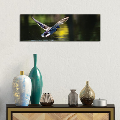 Away We Go by David Gardiner - Wrapped Canvas Panoramic Print