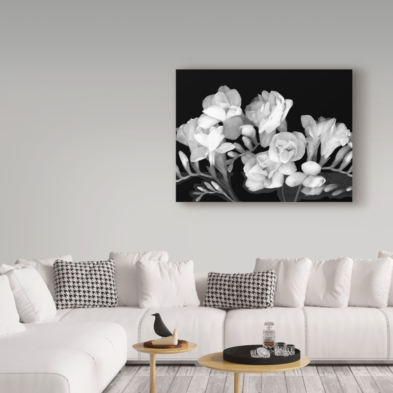 «Freesia Iii Black and White» par Dosta, impression sur toile tendue, H 14 po x l 19 po x P 2 po