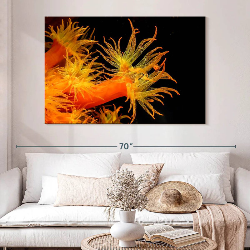Brampt Sun Polyps, 34" H x 51" W