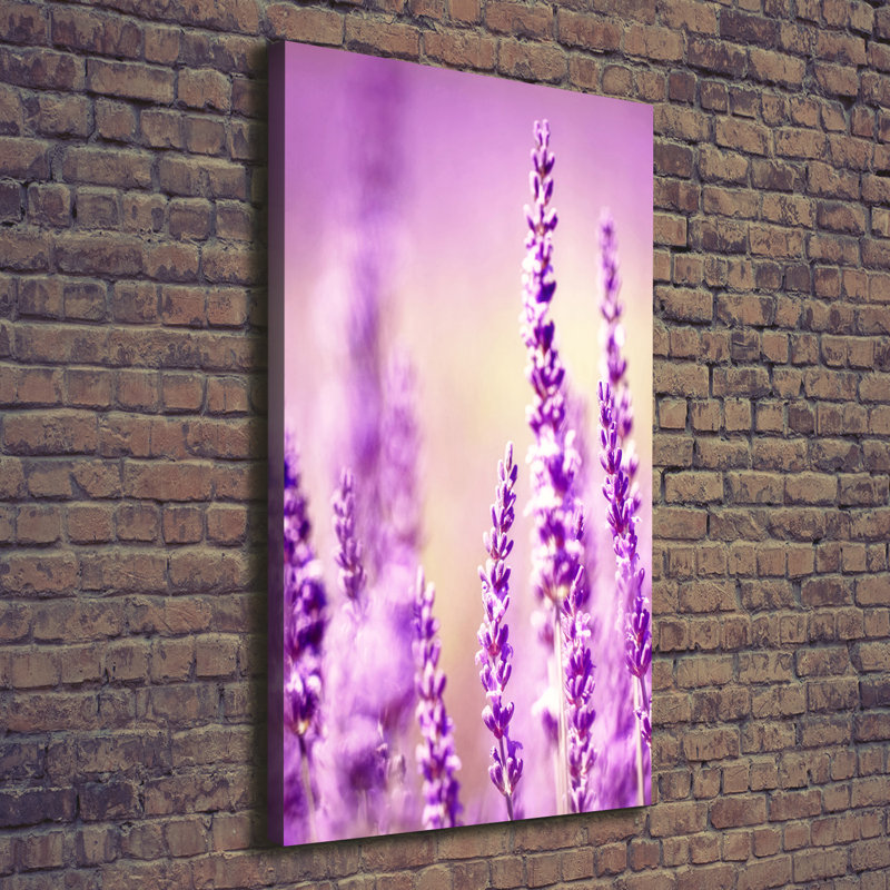 Lavender - Wrapped Canvas Print, 140cm H x 70cm W