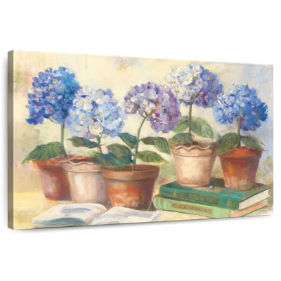 Hortensias Harnek Gardeners