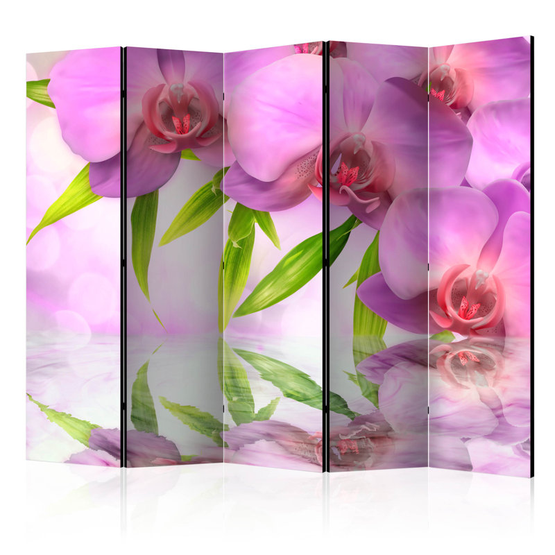 Hallsy 225cm W x 172cm H 5 - Panel Solid Wood Folding Room Divider