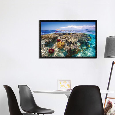 Mayotte The Reef by Barathieu Gabriel - Print on Canvas