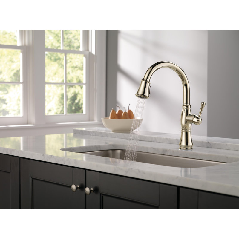 Robinet de cuisine rétractable Cassidy, robinets de cuisine avec pulvérisateur rétractable, robinet d'évier de cuisine, robinet pour évier de cuisine, support magnétique, nickel poli Lumicoat