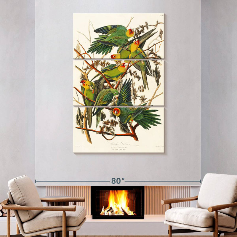 Brampt Carolina Parakeet, 74" H x 48" W