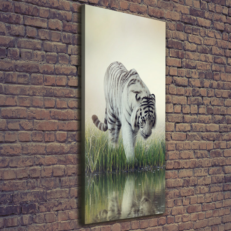 White Tiger - Wrapped Canvas Print