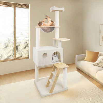 Arbre à chat en bois avec grande échelle en bois et vaisseau transparent 165 cm