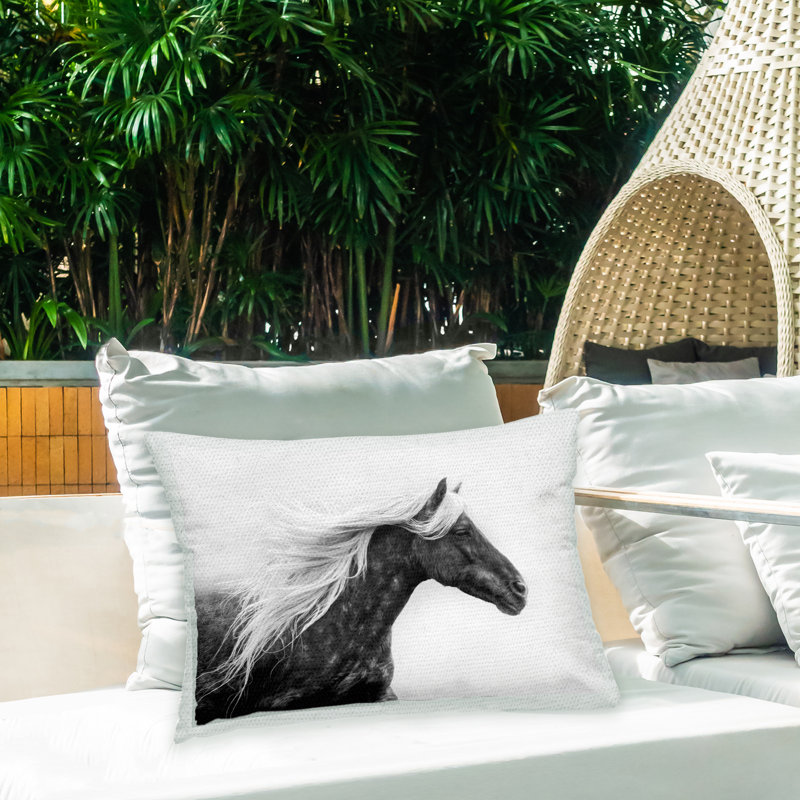 Polyester Throw Rectangular Indoor/Outdoor Pillow Cover & Insert by PHBurchett
