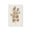 Tan Leaf Impressions Set of 2-1740916265-1740916271