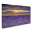 « lavandest », reproduction de photo sur toile tendue-31105859