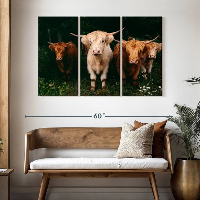 Light Haired Highland Cows, 32" H x 50" W