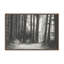 «Secret Tract II» par Michael Willett, reproduction d'art-744799472-744799476-744799483