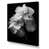 Wrapped Canvas is unavailable