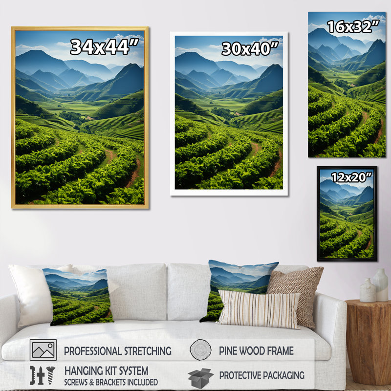 Cuba, champs de tabac I sur toile, H 40 po x l 30 po x P 1,5 po, Cadre flottant doré