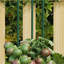 30 piquets de plantes de jardin Arlmont & Co., acier vert-119653472