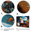 «Turtles Journey», collage floral sur toile-635755317-635755316