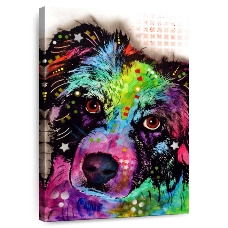 Brampt Aussie, 24" H x 16" W