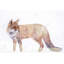 Forest and fox - 24"x36" Framed canvas