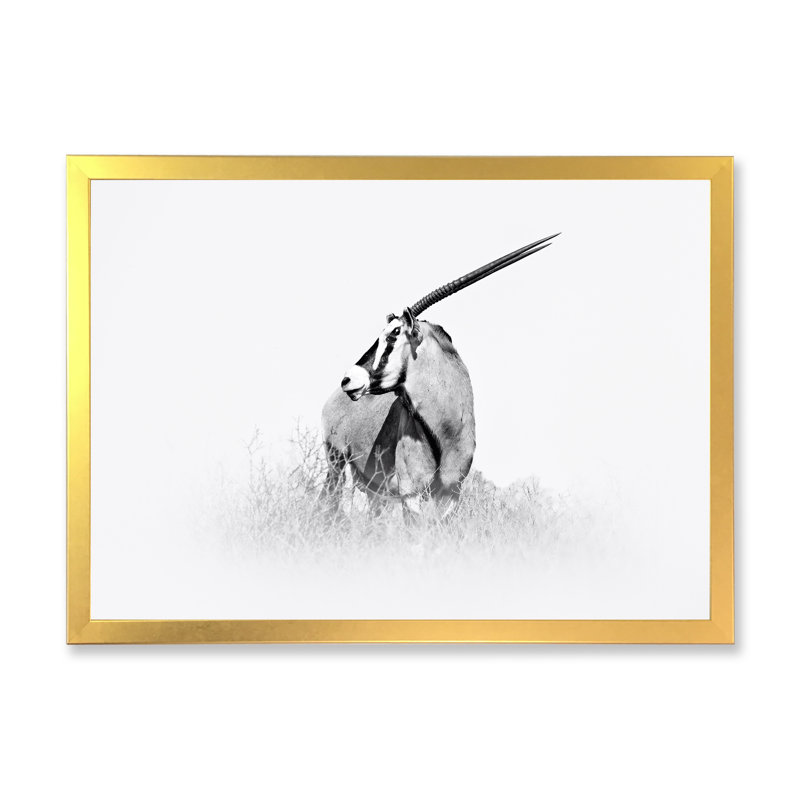 Gemsbok africain en noir et blanc - reproduction de dessin sur toile, Cadre doré, H 16 po x l 32 po x P 1 po