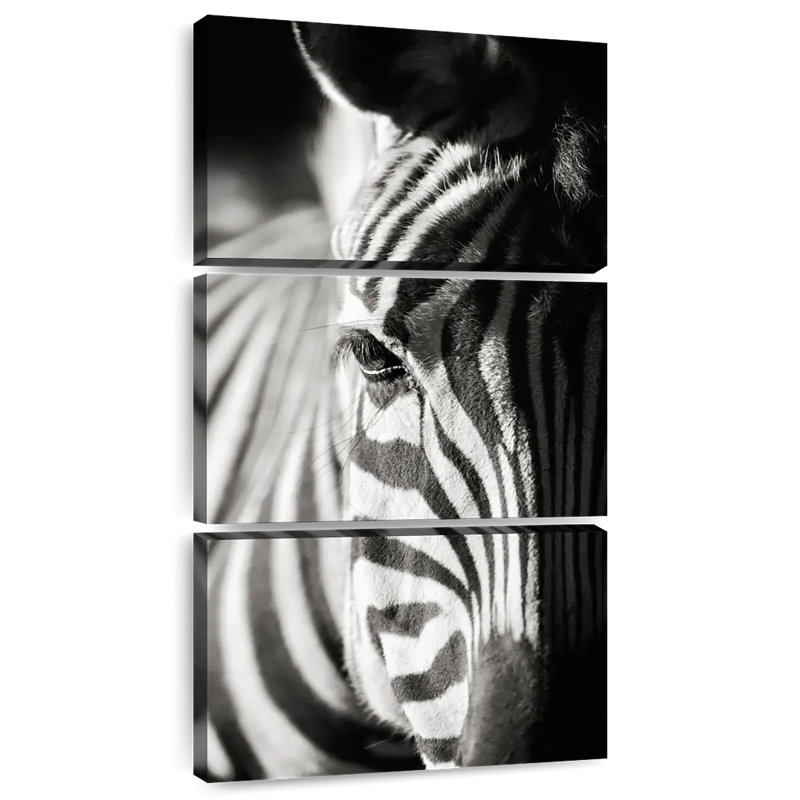 Zebra Details, 62" H x 30" W