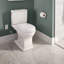 Connelly® Dual-Flush Elongated Two-Piece Toilet (Seat Not Included)-17017191-67228085