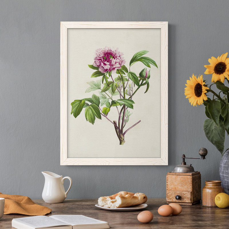 «Pretty Pink Botanicals V», reproduction sur toile encadrée, H 31 po x l 44 po x P 1 po, Cadre blanc