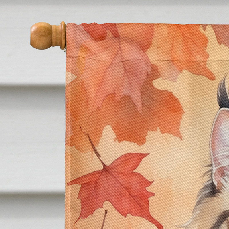Chat en feuilles d'automne, Oriental Longhair
