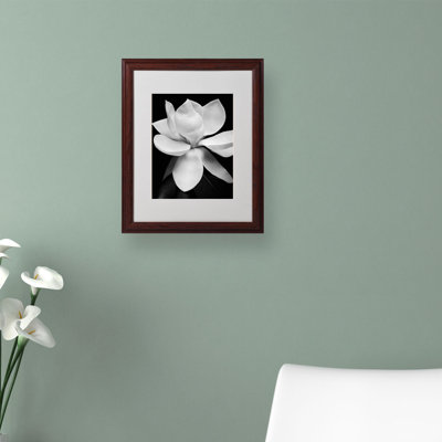 " Magnolia " by Michael Harrison
