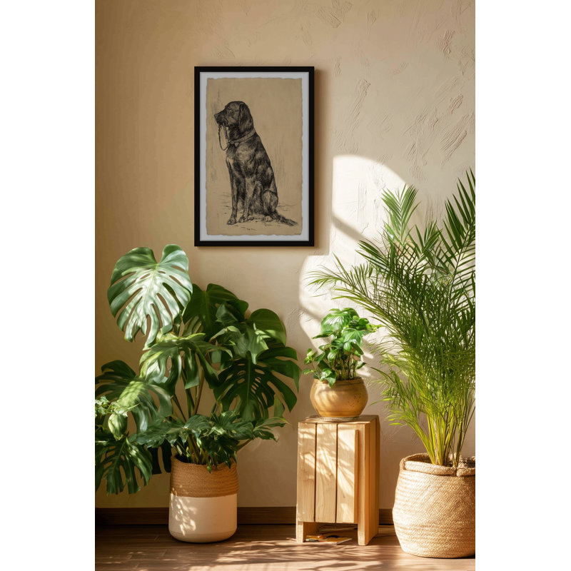 «Aldrich's Dog», reproduction encadrée, H 18 po x l 12 po