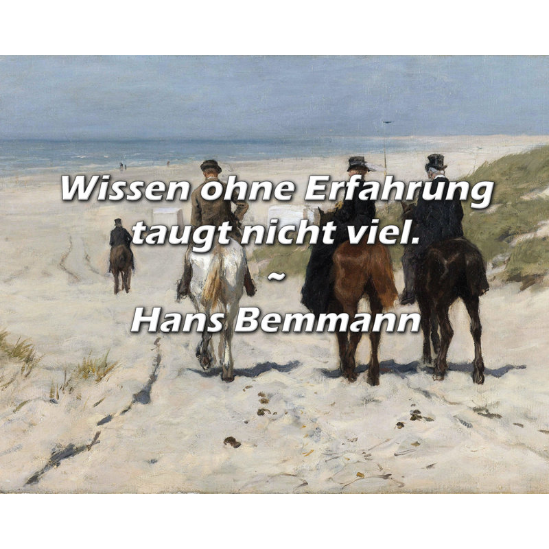 Citation de Hans Bemmann: Wissen Ohne Erfahrung, H 20 po x l 24 po